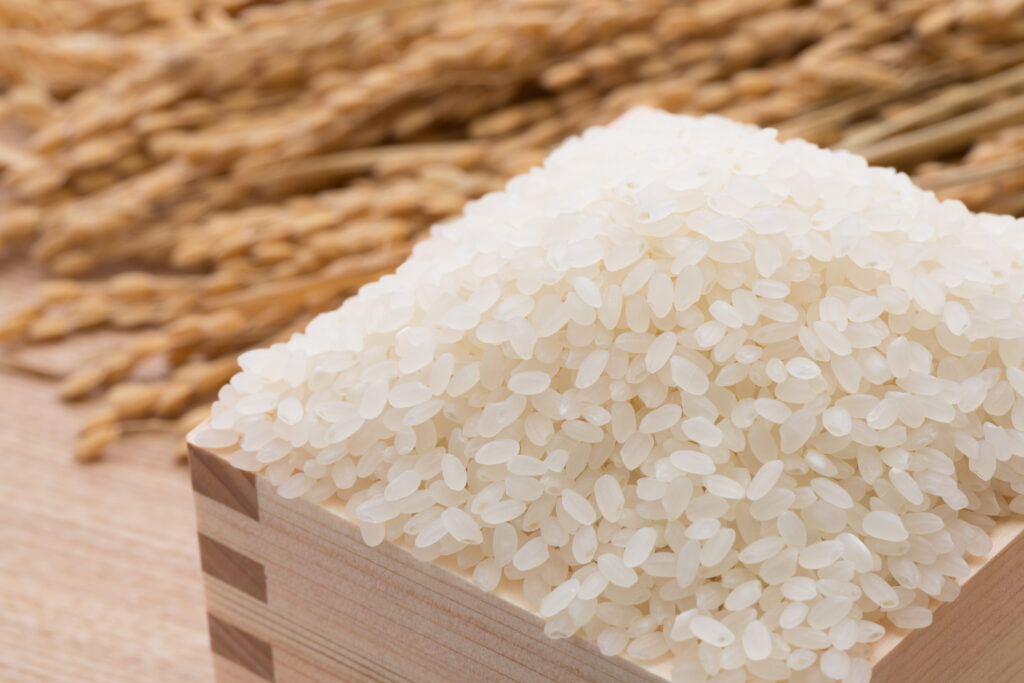 日本のおすすめのお米の品種